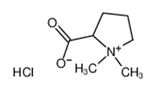 Imagem de Stachydrine hydrochloride