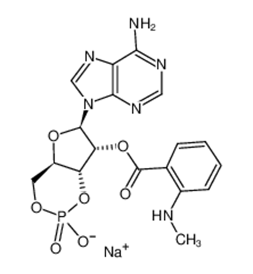 Picture of MANT-CAMP SODIUM SALT