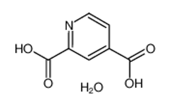 Picture of pyridine-2,4-dicarboxylic acid,hydrate