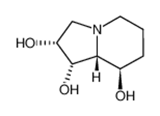 Picture of swainsonine