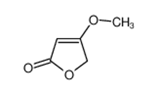 Picture of 4-Methoxy-2(5H)-furanone