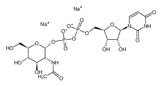 Picture of UDP-α-D-N-ACETYLGLUCOSAMINE, DISODIUM SALT