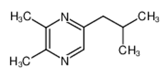 Picture of 5-Isobutyl-2,3-dimethylpyrazine