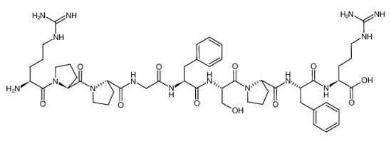 Picture of bradykinin