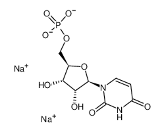 Picture of Disodium uridine-5'-monophosphate