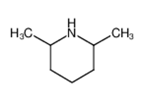 Picture of 2,6-Dimethylpiperidine