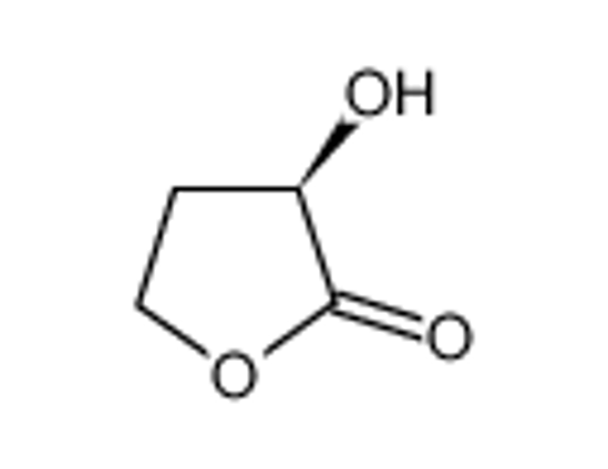 Picture of (R)-(+)-ALPHA-HYDROXY-GAMMA-BUTYROLACTONE