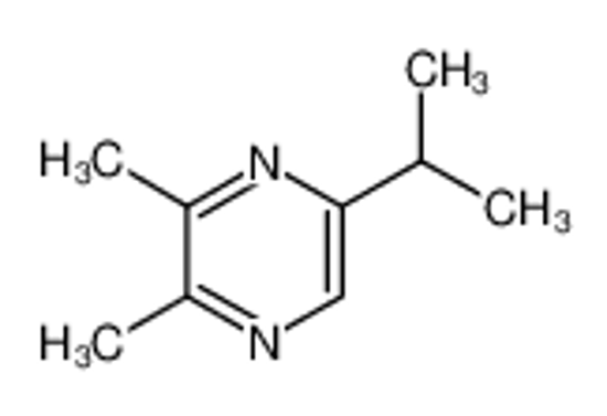 Picture of 5-Isopropyl-2,3-dimethylpyrazine