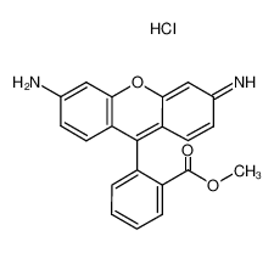 Picture of rhodamine 123