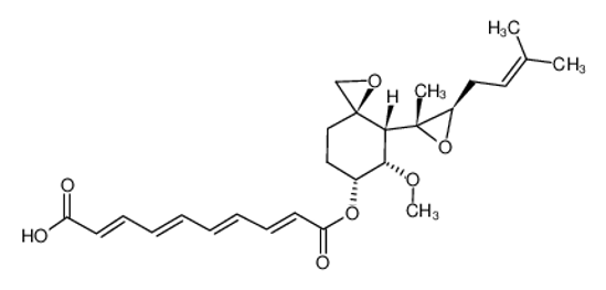 Изображение fumagillin