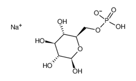 Picture of D-Glucose 6-phosphate sodium salt