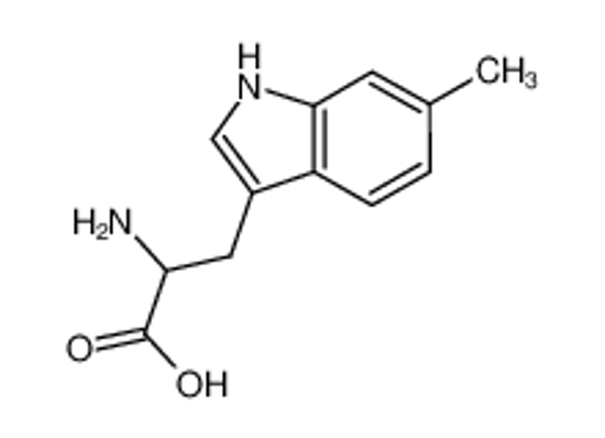 Picture of 6-Methyl-DL-tryptophan