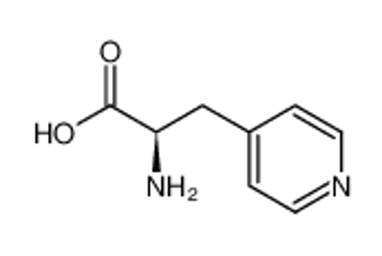 Picture of D-4-PYRIDYLALANINE