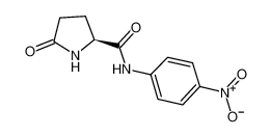 Picture of PYR-PNA