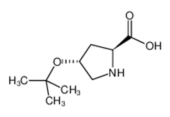 Imagem de trans-4-(tert-Butoxy)pyrrolidine-2-carboxylic acid