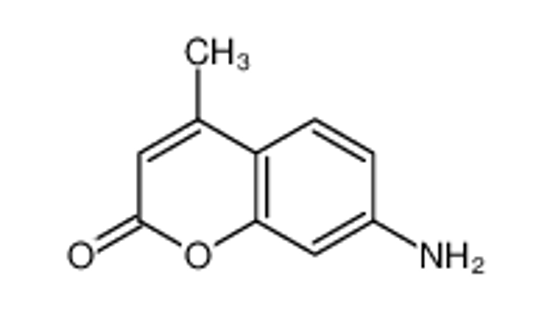 Picture of coumarin 120