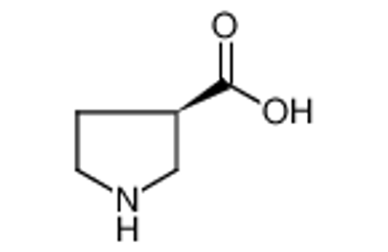 Picture of (R)-(-)-Pyrrolidine-3-carboxylic Acid