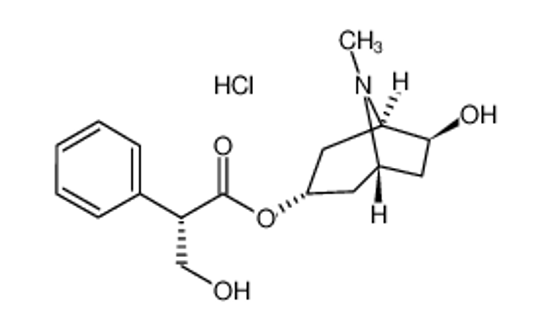 Picture of [(1S,3R,5S,6R)-6-hydroxy-8-methyl-8-azabicyclo[3.2.1]octan-3-yl] 3-hydroxy-2-phenylpropanoate