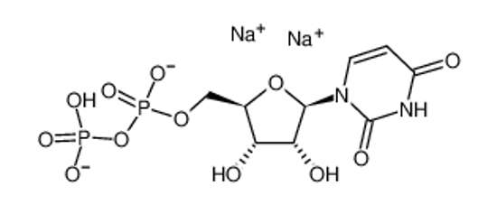 Picture of Uridine 5,-Diphosphate Sodium Salt