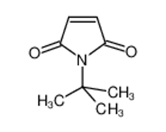 Picture of N-TERT-BUTYLMALEIMIDE