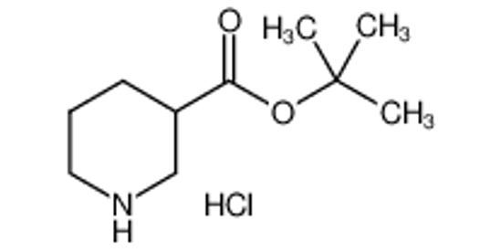 Picture of tert-butyl piperidine-3-carboxylate,hydrochloride