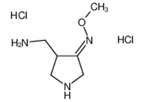 Изображение 4-AMINOMETHYL-PYRROLIDIN-3-ONE-METHYLOXIME 2HCL