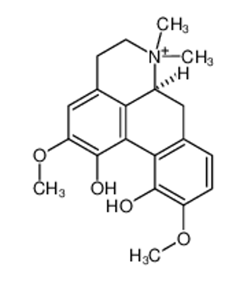 Imagem de (+)-MAGNOFLORINE IODIDE