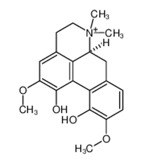 Picture of (+)-MAGNOFLORINE IODIDE