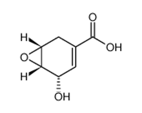 Picture of (1R,5S,6S)-5-hydroxy-7-oxabicyclo[4.1.0]hept-3-ene-3-carboxylic acid