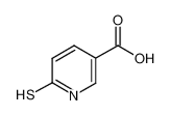 Picture of 6-MERCAPTONICOTINIC ACID