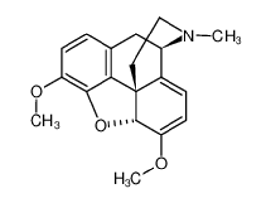 Изображение Thebaine