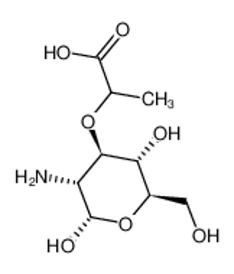Изображение aldehydo-muramic acid