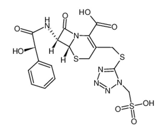 Picture of cefonicid