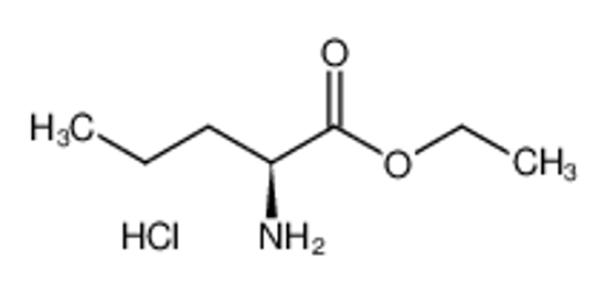 Picture of L-Norvaline ethyl ester hydrochloride