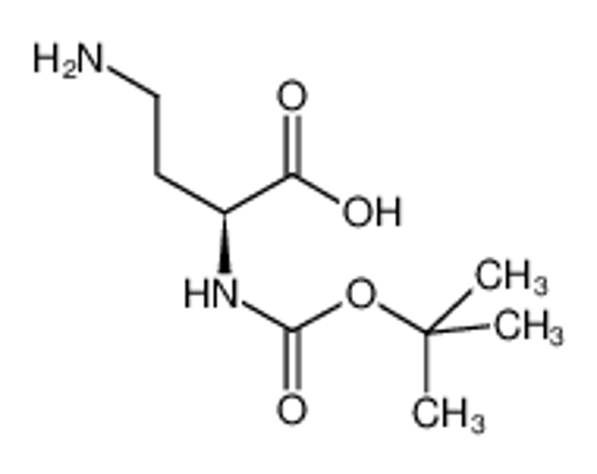 Picture of Boc-D-2,4-Diaminobutyric Acid