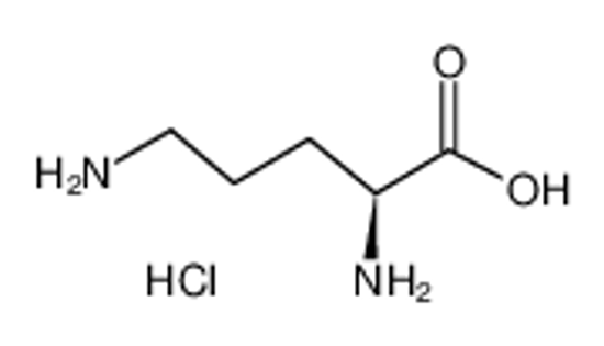 Picture of L(+)-Ornithine hydrochloride