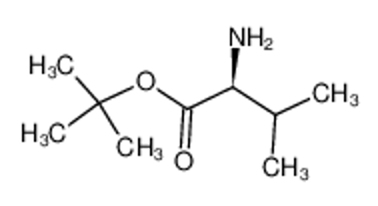 Picture of tert-Butyl L-valinate