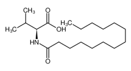 Picture of 3-methyl-2-(tetradecanoylamino)butanoic acid