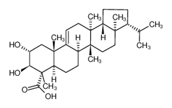 Picture of (4S)-2α,3β-Dihydroxy-D:C-friedo-B':A'-neogammacer-9(11)-en-23-oic acid