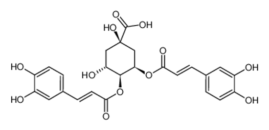 Picture of (1S,3R,4S,5R)-4-[4-(3,4-dihydroxyphenyl)-2-oxobut-3-enyl]-3-[3-(3,4-dihydroxyphenyl)prop-2-enoyloxy]-5-hydroxy-1-methylcyclohexane-1-carboxylic acid