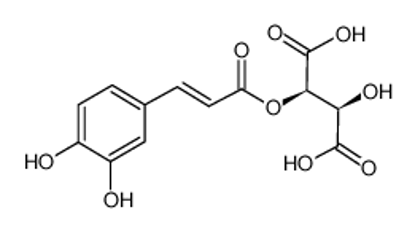 Показать информацию о Caftaric acid