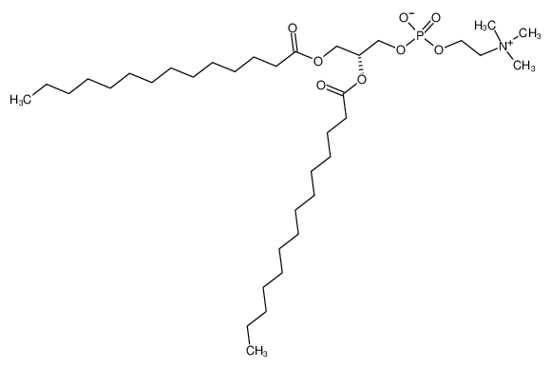 Picture of 1,2-Dimyristoyl-sn-glycero-3-phosphocholine