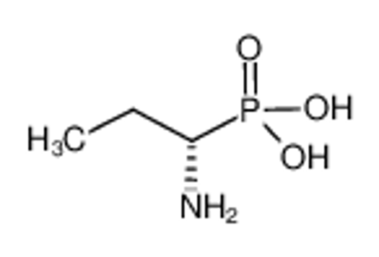 Imagem de (1S)-(+)-(1-AMINOPROPYL)PHOSPHONIC ACID