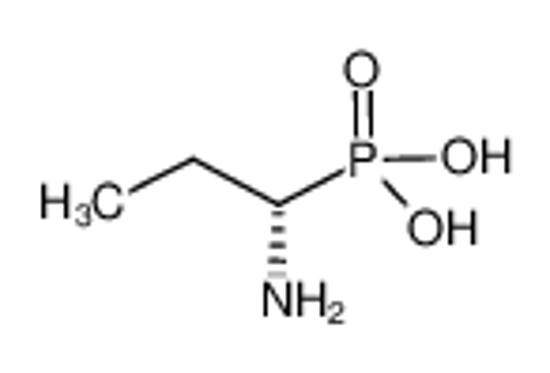 Picture of (1S)-(+)-(1-AMINOPROPYL)PHOSPHONIC ACID