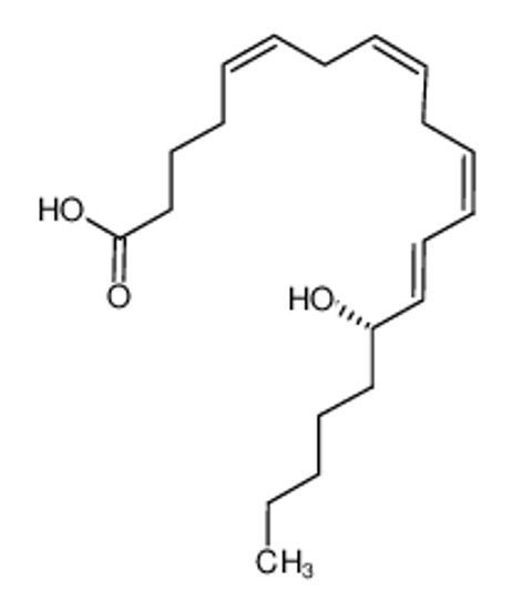 Picture of 15(S)-HETE