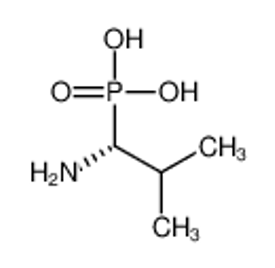 Изображение (1R)-(+)-(1-AMINO-2-METHYLPROPYL)PHOSPHONIC ACID