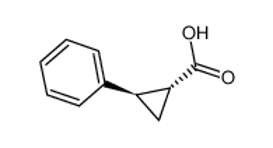 Изображение trans-2-Phenyl-1-cyclopropanecarboxylic Acid