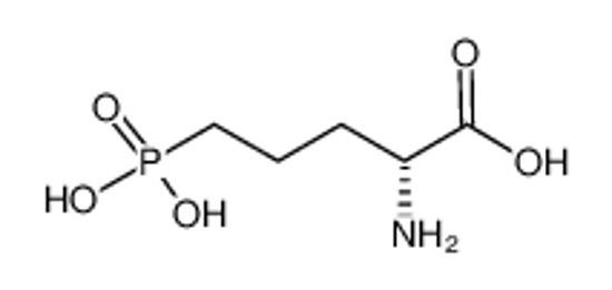 Picture of (2R)-2-amino-5-phosphonopentanoic acid