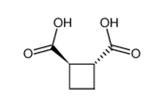 Picture of TRANS-CYCLOBUTANE-1,2-DICARBOXYLIC ACID