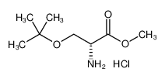 Picture of methyl (2R)-2-amino-3-[(2-methylpropan-2-yl)oxy]propanoate,hydrochloride